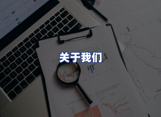 专业团队